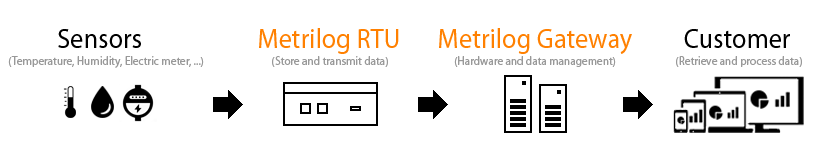 Metrilog Prozess